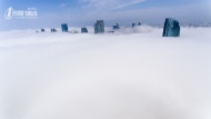 6月13日，青岛前海一线再次出现平流雾奇观，不少地区海雾只深入陆地数百米，由于海雾较薄，海雾缠绕在高楼大厦的腰间，让人感觉如同进入了仙境。