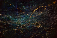 Amazing fireflies in Japan!