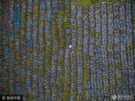 2017年6月26日，杭州，城南的一处空地上，上万辆共享单车被弃之荒野。绵延上千平米的露天荒地上，各品牌的各色单车密密麻麻。