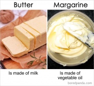 Butter Vs Margarine
