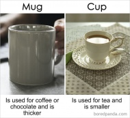 Mug Vs Cup