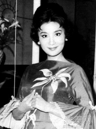 在上世纪50到60年代期间，夏梦是当时香港最大的左派电影公司长城公司的当家头牌，与石慧、陈思思并称为“长城三公主”， 夏梦居长，号称“长城大公主”。 .