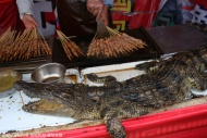 湖北武汉国际会展中心广场，大汉口庙会，鳄鱼肉串。