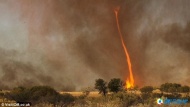 龙卷风出现在森林大火现场，卷吸着火焰，形成壮观的“火焰龙卷风”。